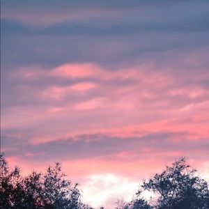 Meet your Posher, Araceli